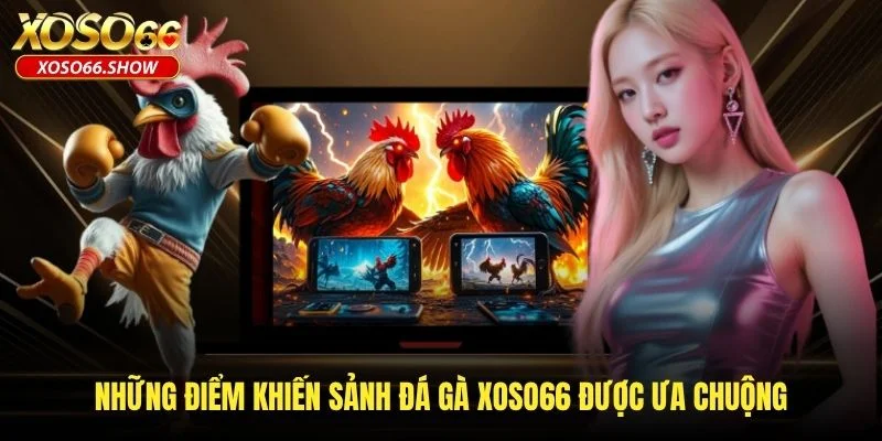 Những điểm khiến sảnh đá gà XOSO66 được ưa chuộng